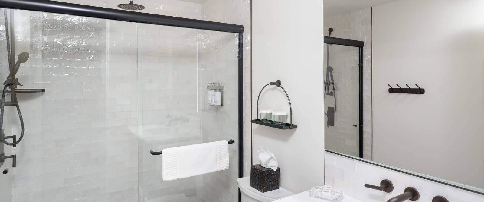 Black and white bathroom with glass door stand up shower and vanity with mirror